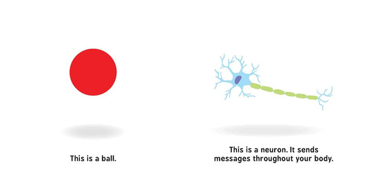 Neural Networks for Babies