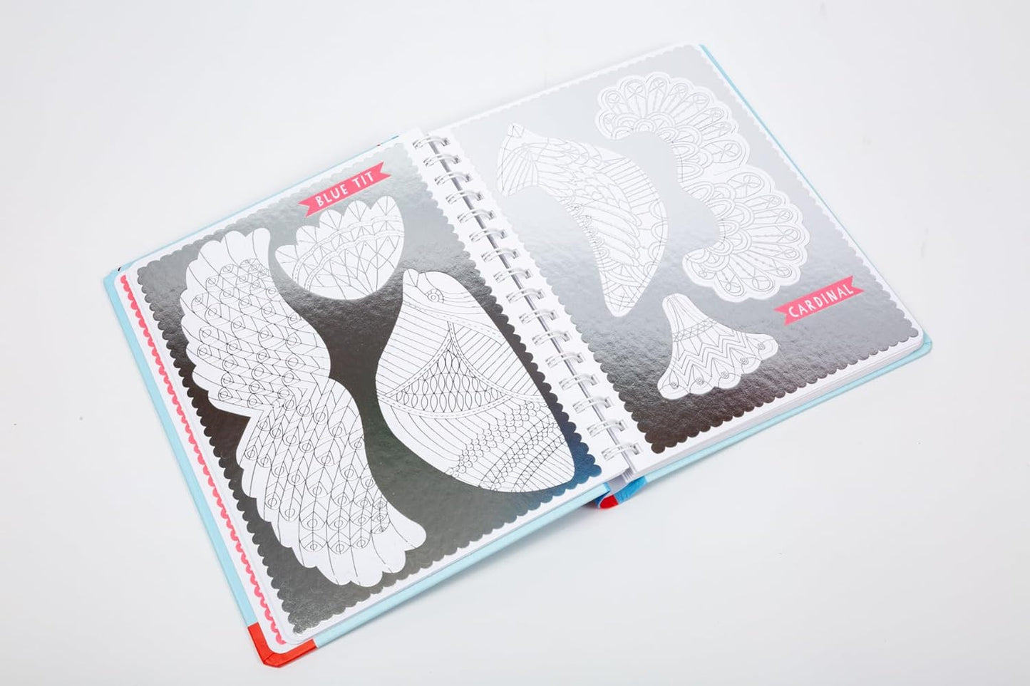 Press Out and Colour Birds With 10 Beautiful Birds