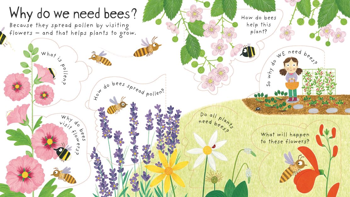 Usborne Lift-the-Flap First Questions and Answers: Why Do We Need Bees ?