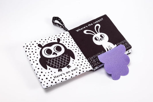 Baby’s First Cloth Book: Cuddly Bear