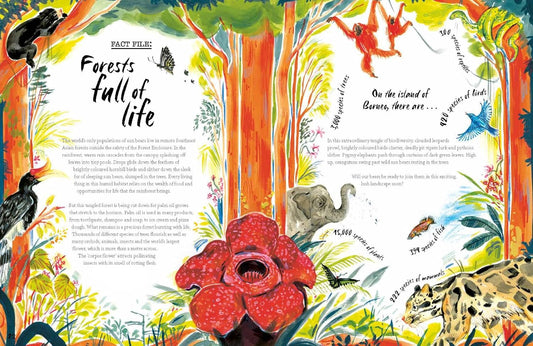 A Bear Belongs: A Rescue Story - Catherine Barr