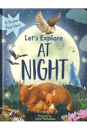 Let's Explore At Night: 6 Super Pop-Ups!