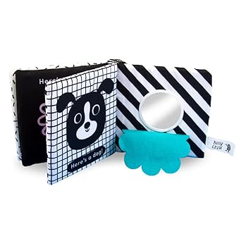 Baby’s First Cloth Book: Cuddly Ladybird