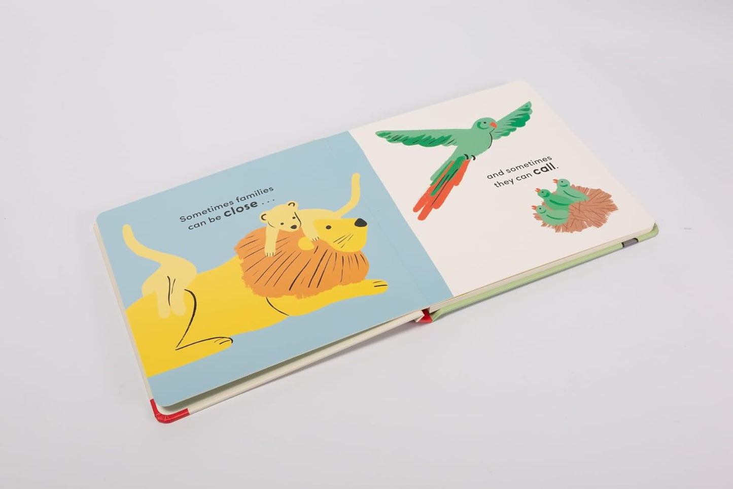 Sometimes Families: A Book About All Kinds of Families