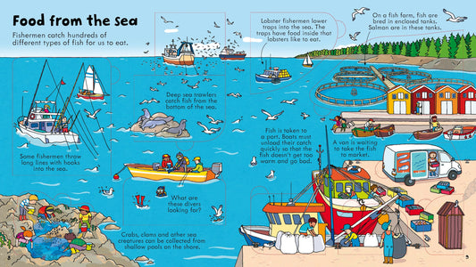 Usborne Look Inside Food