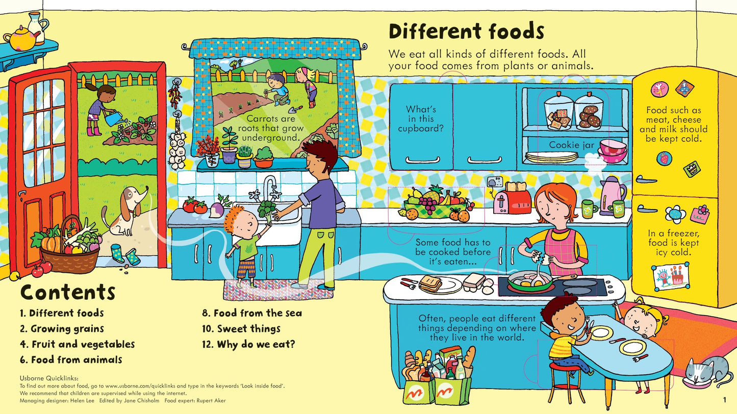 Usborne Look Inside Food