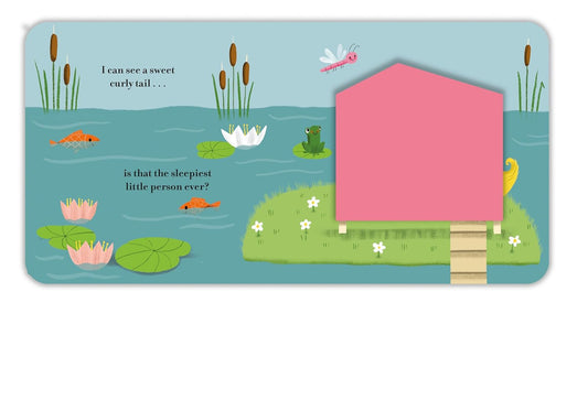 Who's Sleepy: Soft Flaps And a Mirror