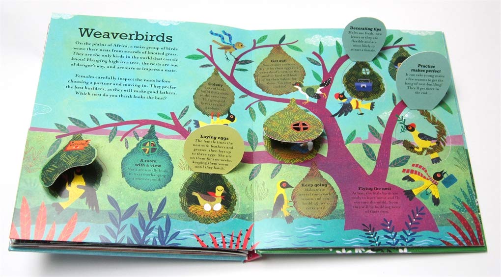 Pop Inside: Animal Homes