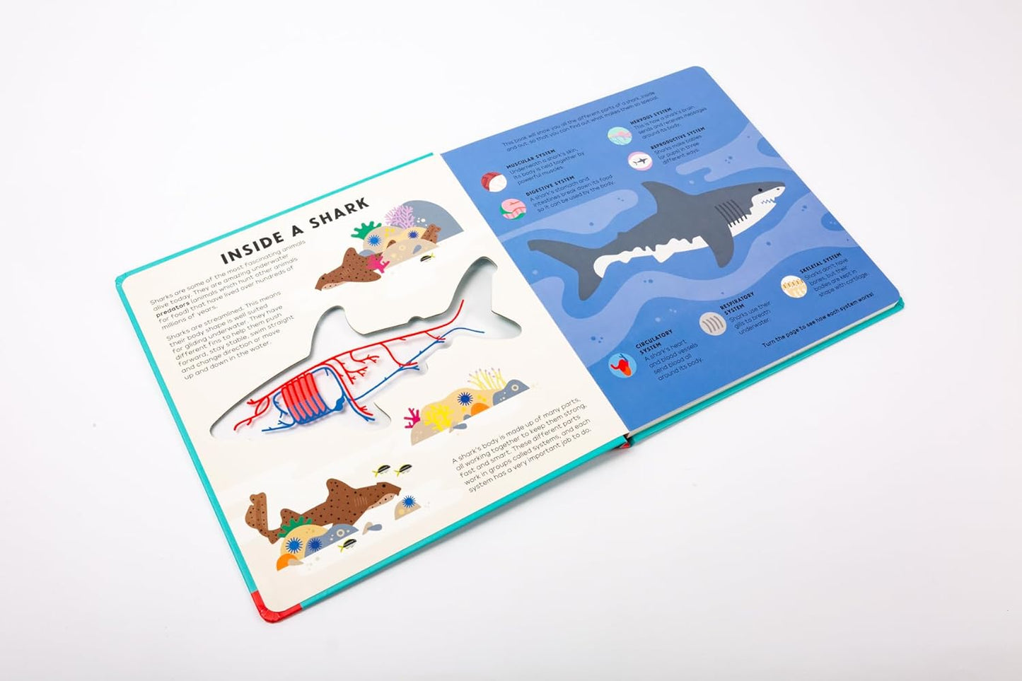 The Shark Book