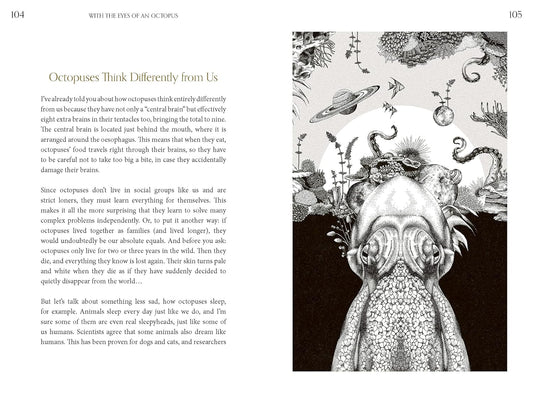 Amazing Octopus: Creature From An Unknown World