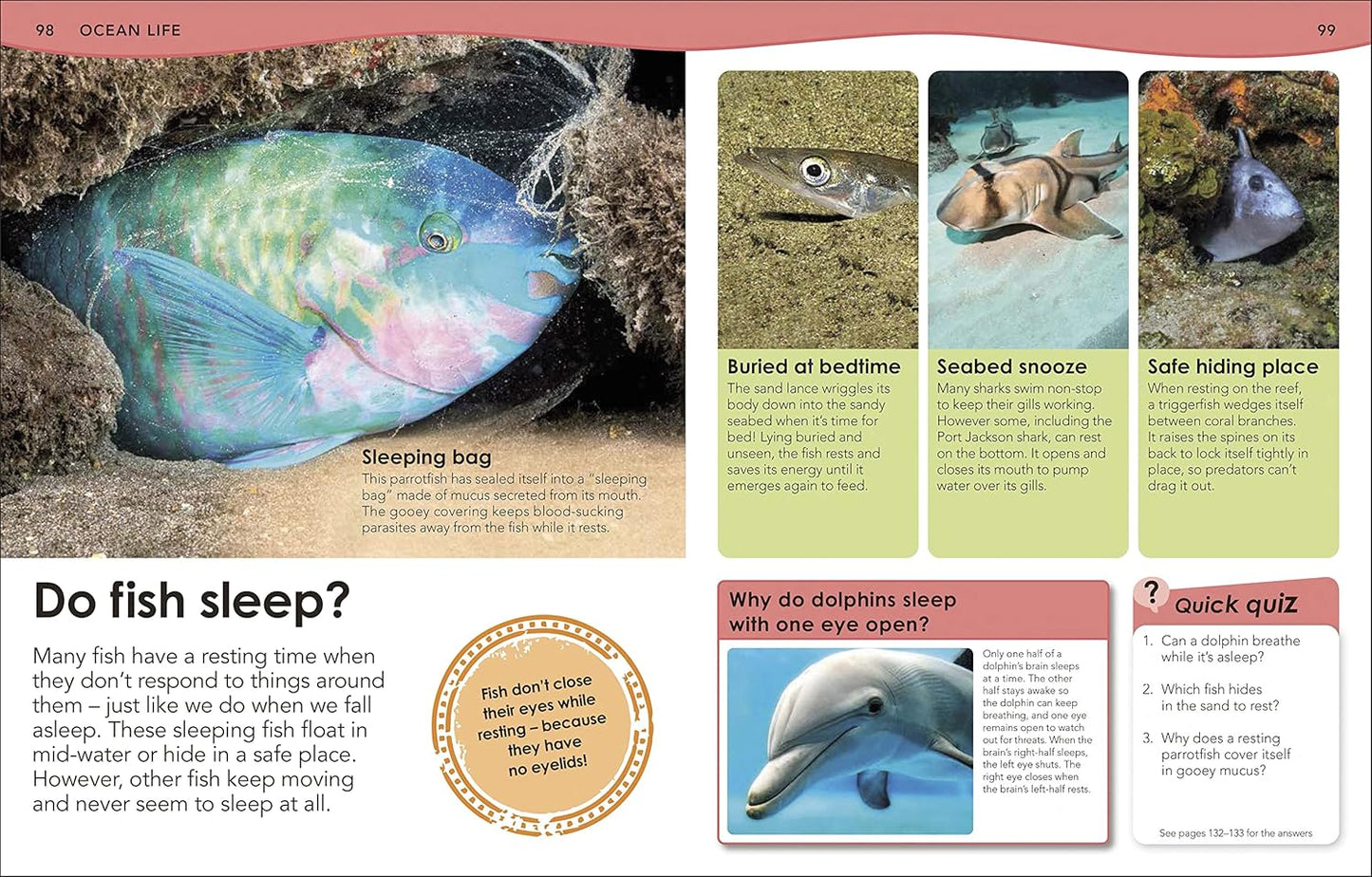 DK How Deep is the Ocean?: With 200 Amazing Questions About Oceans and Sea