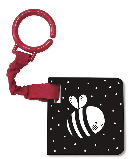 Baby Touch : A Black-And-White Buggy Book