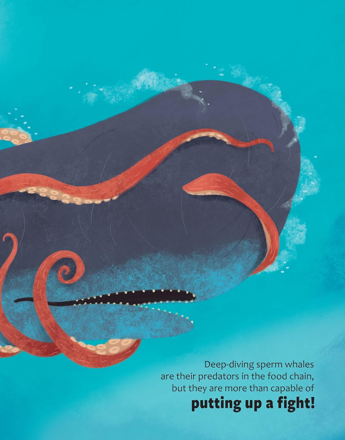 Big Questions Answered: How Do Oceans Help Us Breathe?