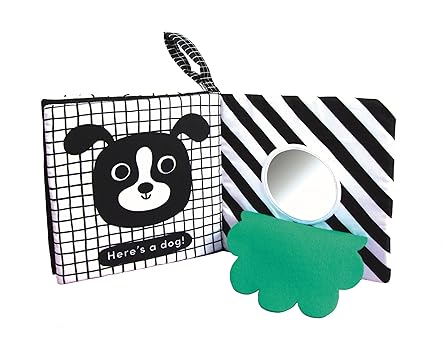 Baby’s First Cloth Book: Cuddly Ladybird