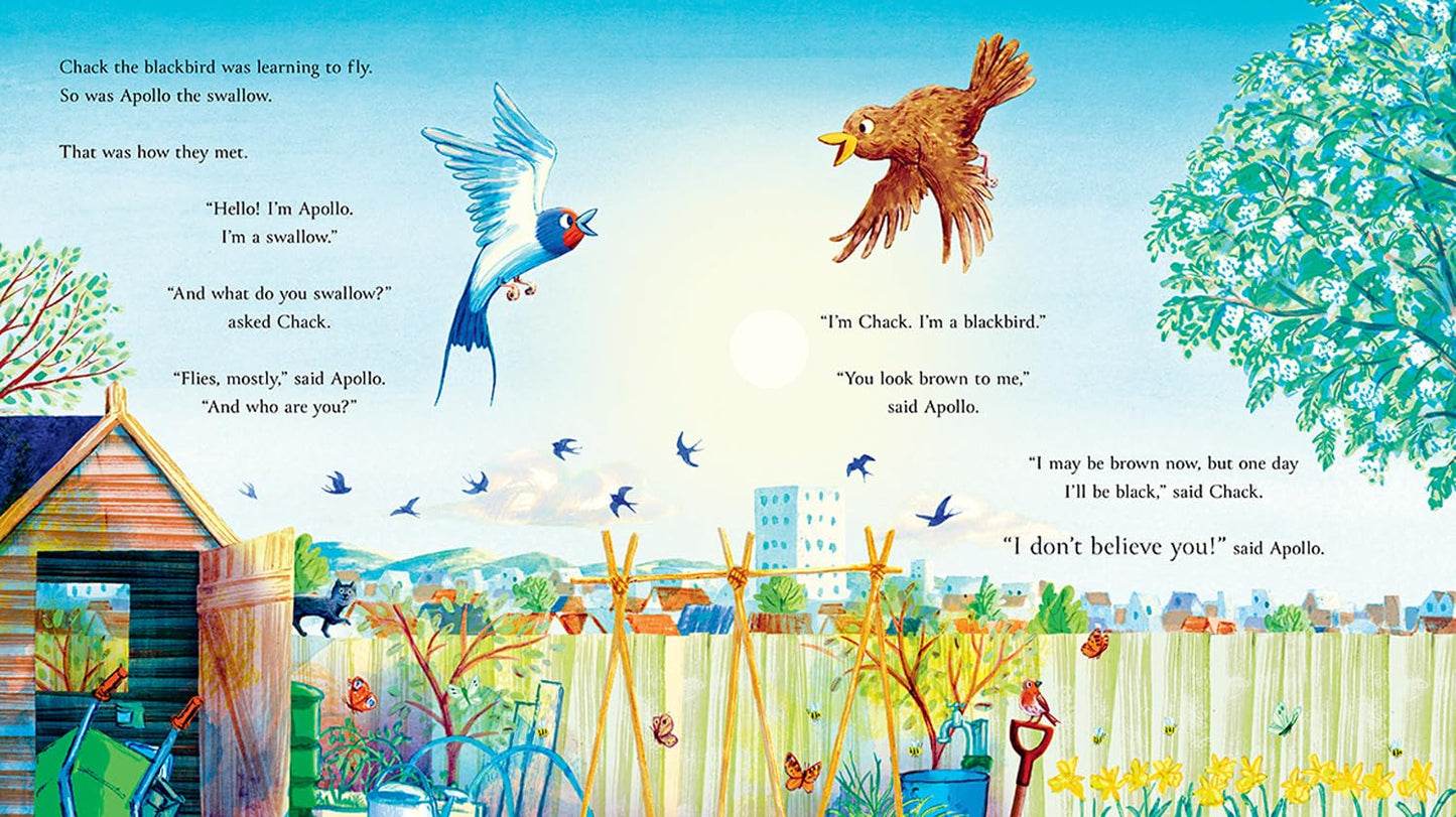 Follow the Swallow - Julia Donaldson