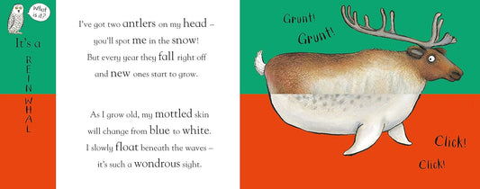 Flip Flap Frozen - Axel Scheffler