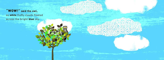 WOW! Said the Owl: A First Book of Colours