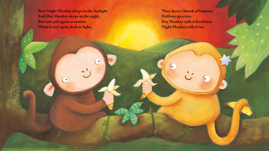 Night Monkey, Day Monkey - Julia Donaldson (Board Book)