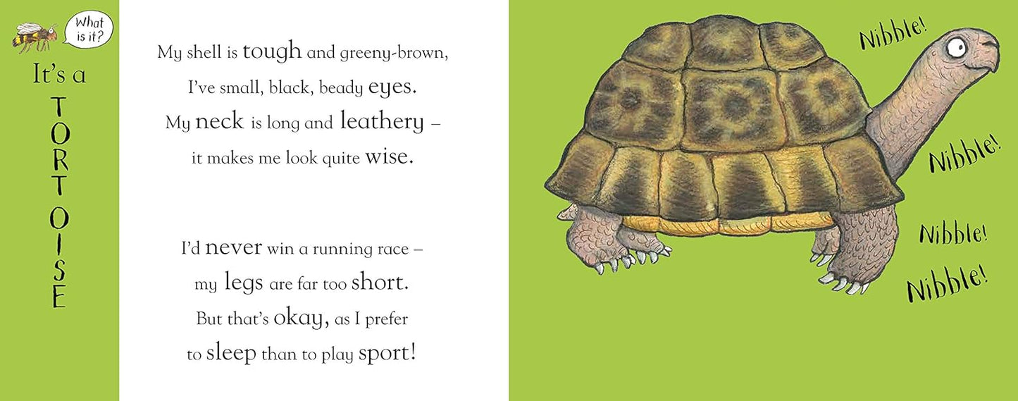 Flip Flap Pets - Axel Scheffler