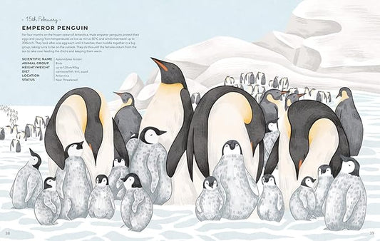 An Animal A Day: 365 Animals to Take You Through The Year