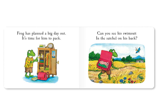 Frog's Day Out: A Lift-the-flap Story