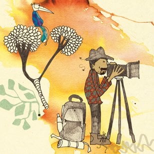 The Cat in the Ghat! - Ruchi Shah