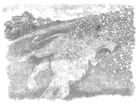 Butterfly Lion - Michael Morpurgo