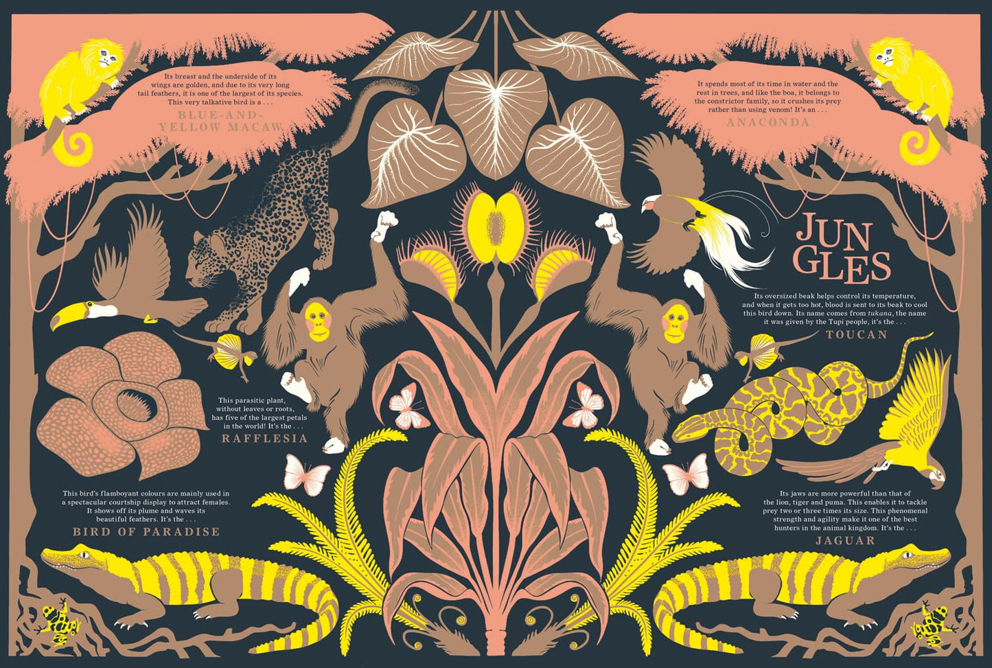 Nature: Discover the World’s Wonderful Habitats