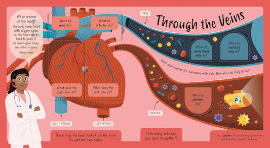 Human Body Adventure (Lift-the-Flap)