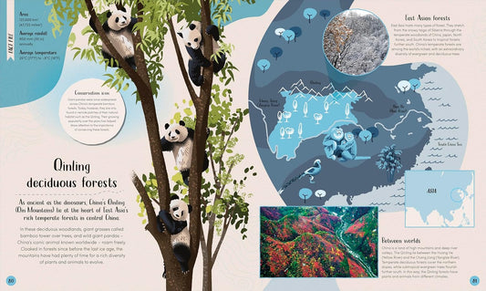 DK Forest: Walk Through the Fascinating World of the Wild