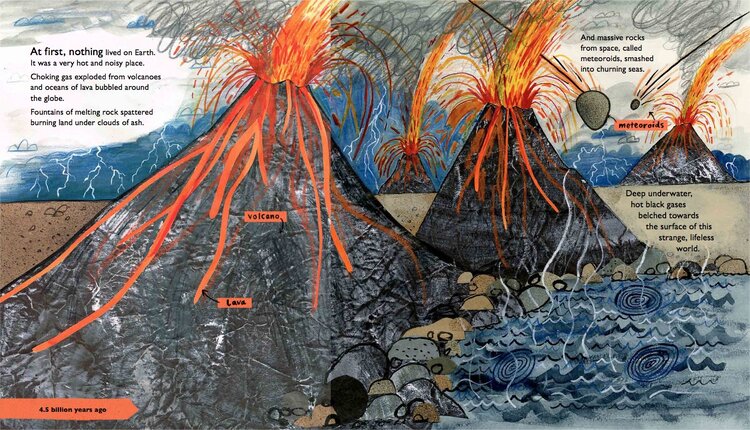 The Story of Life: A First Book About Evolution (Paperback)