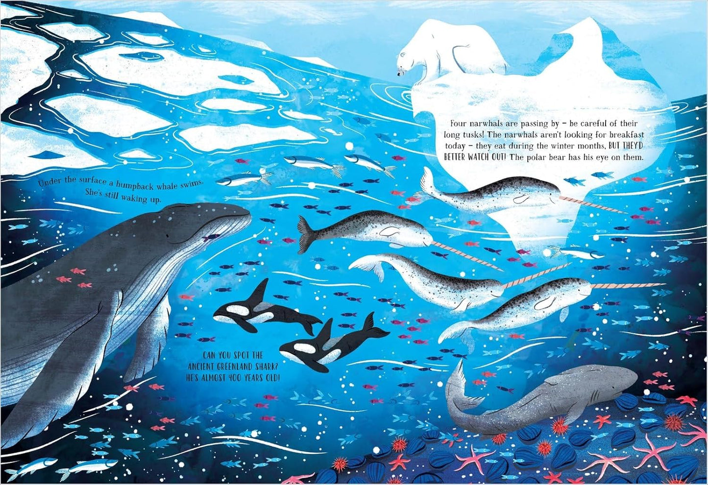 The Secret Ocean: A Spotting Book