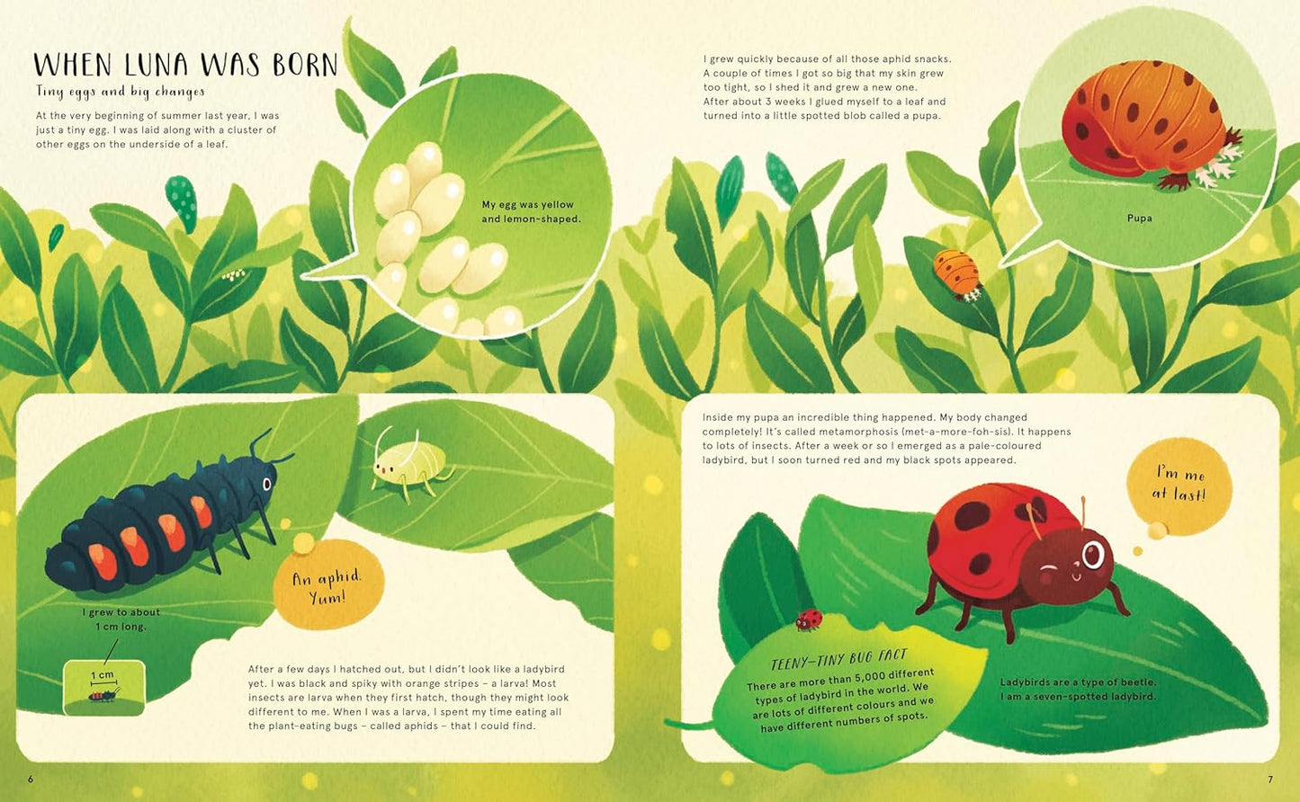 The Secret Life of Bugs, Bees & Trees