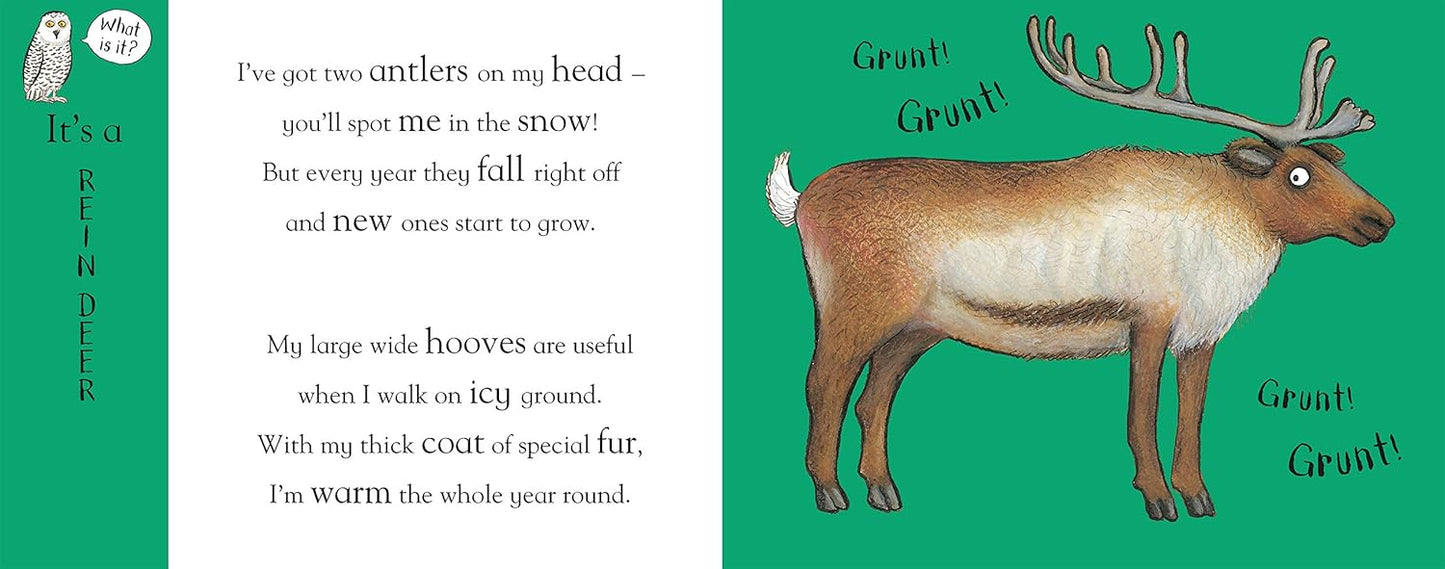 Flip Flap Frozen - Axel Scheffler