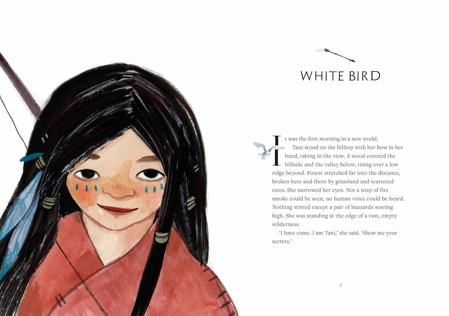 The Time Travelling Stone: Seven Stories, One Hillside, 6000 years