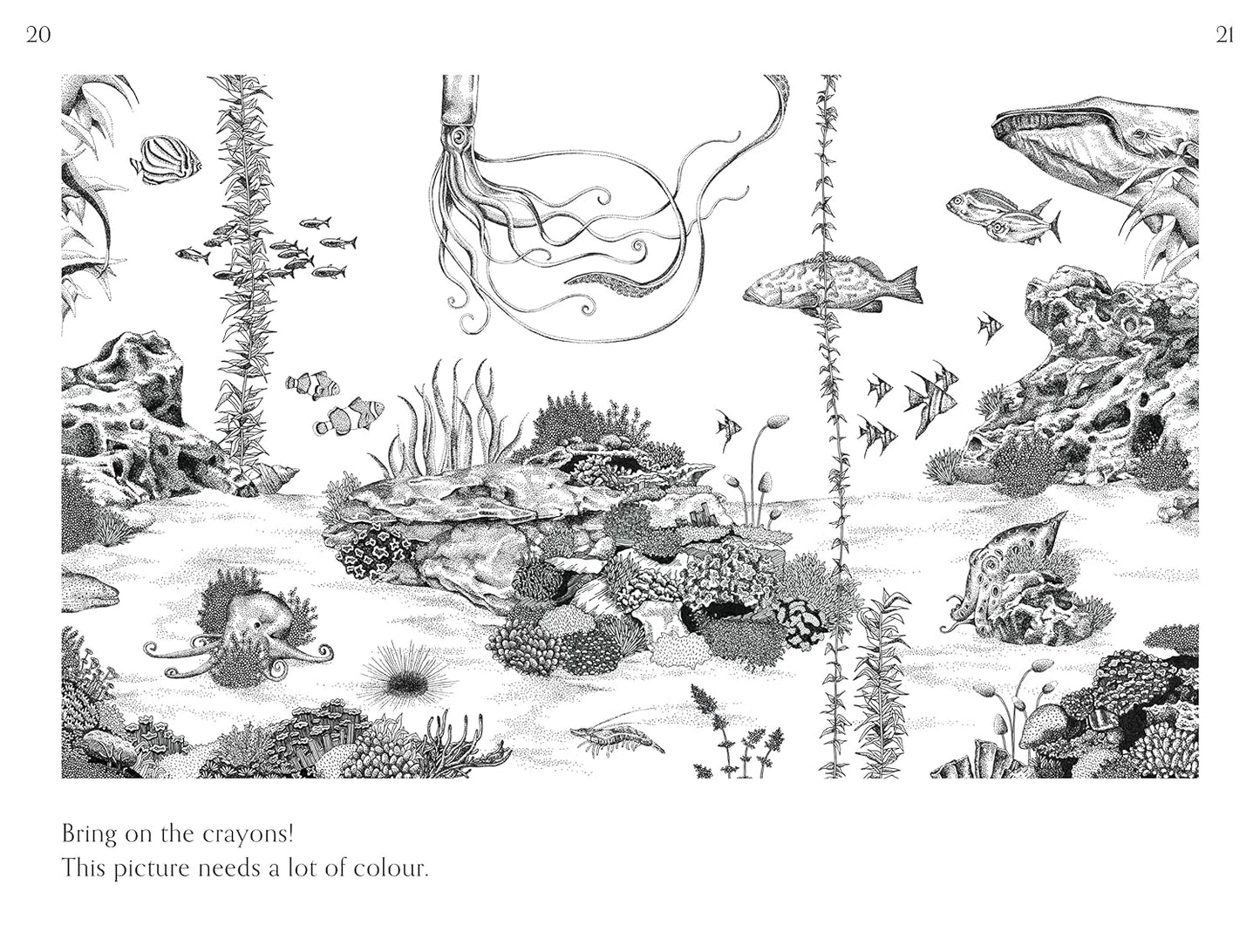 Amazing Octopus: Creature From An Unknown World