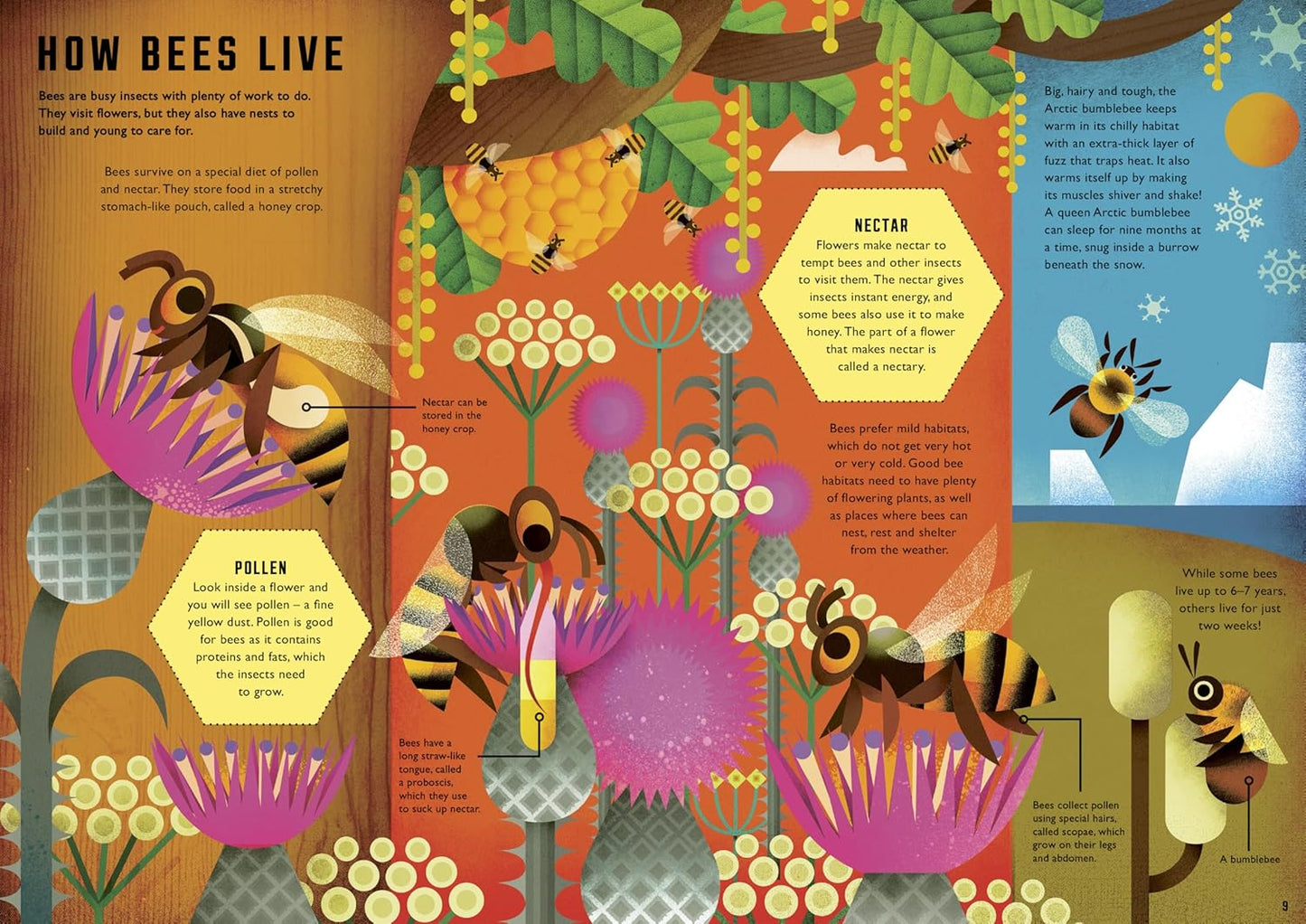 Wild Your World: Bees