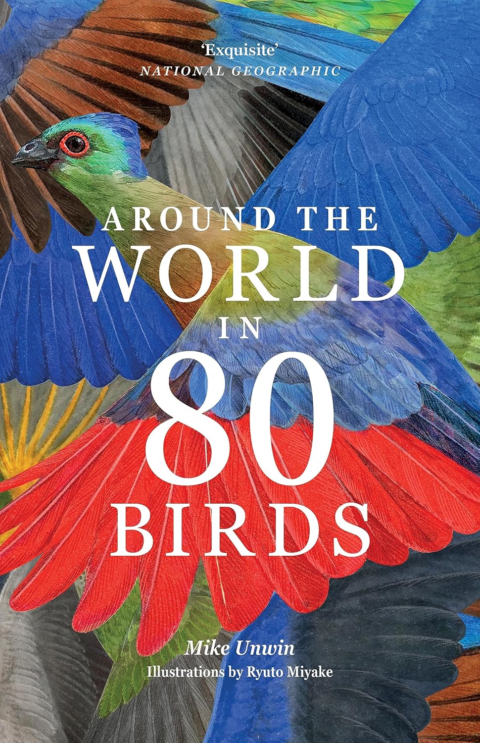 Around The World in 80 Birds