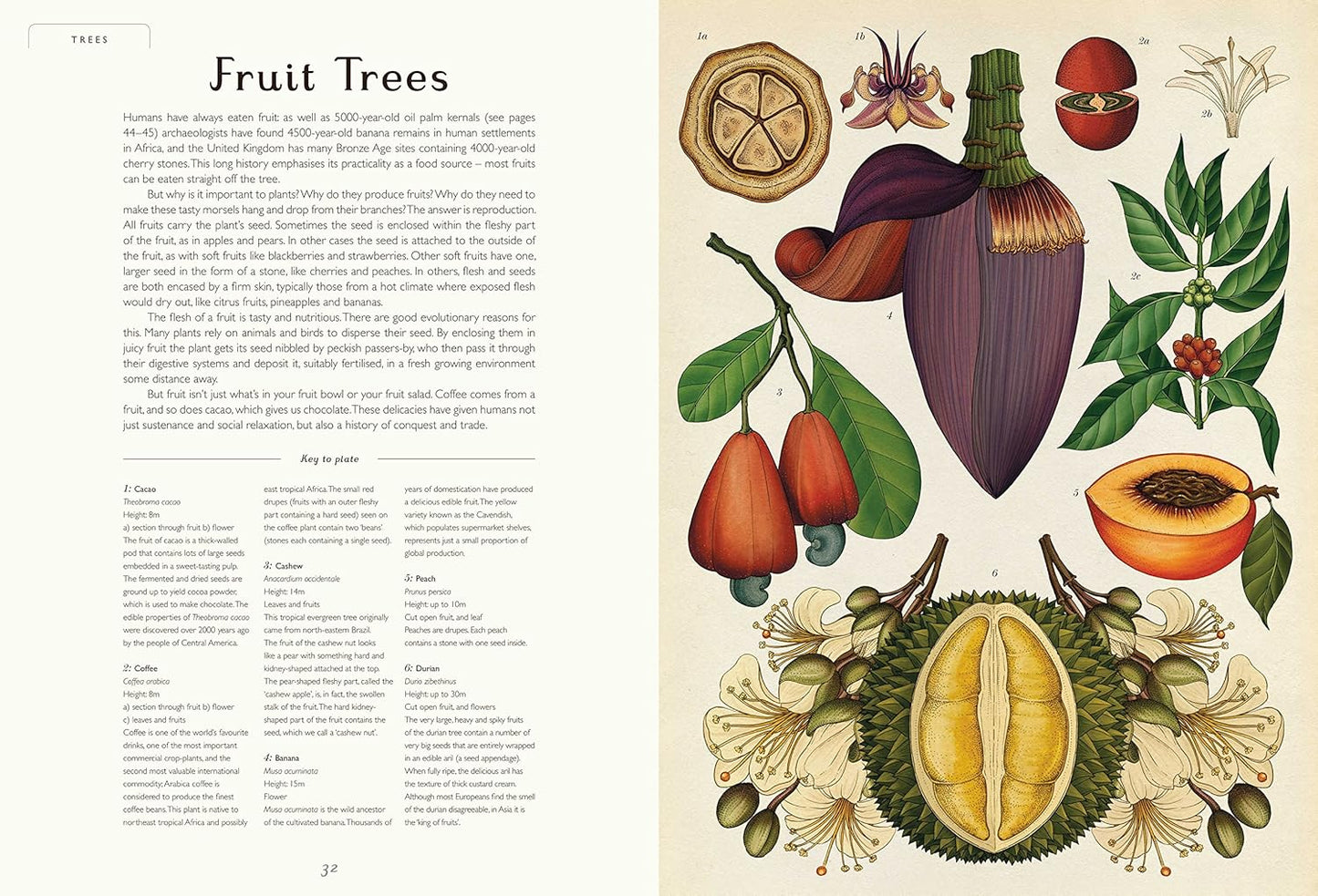 Welcome to the Museum: Botanicum