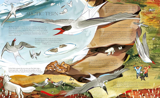 Flight: Explore the Secret Routes of the Skies from a Bird's-Eye View