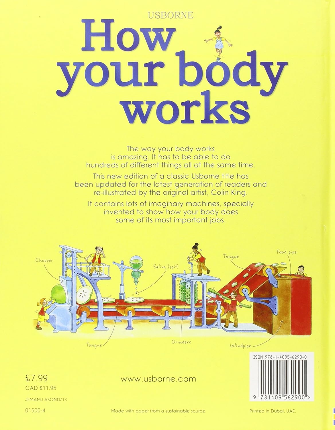 Usborne How Your Body Works