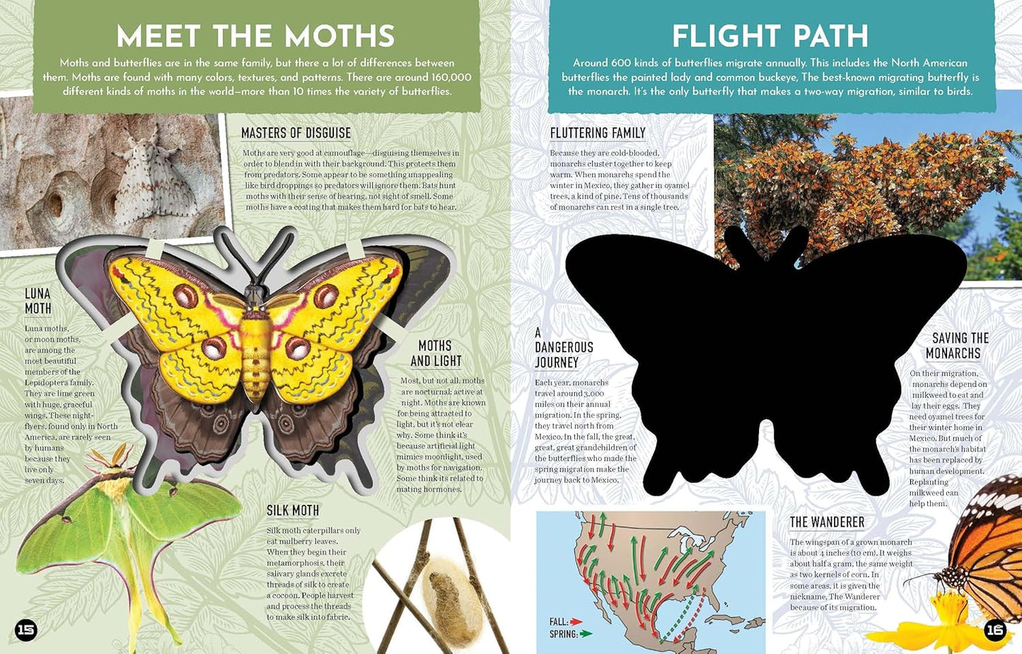 Inside Out Butterfly: Discover Nature's Most Amazing Transformation