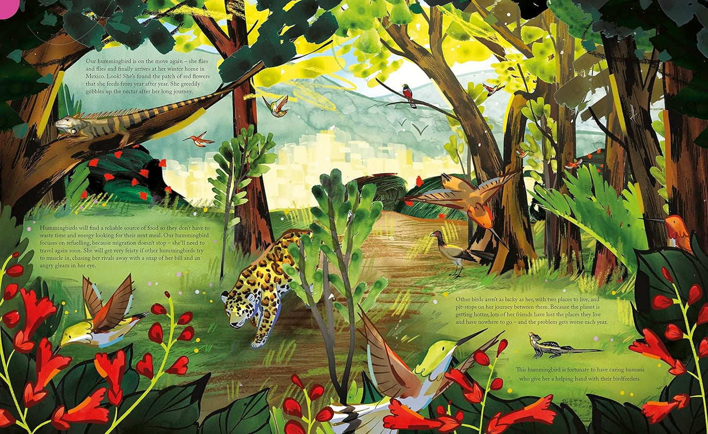 Flight: Explore the Secret Routes of the Skies from a Bird's-Eye View