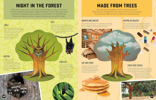Inside Out Forest: Discover Nature's Most Dynamic Ecosystems