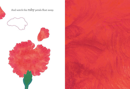 All the Colours I See