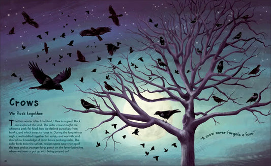 My Animal Family: Meet The Different Families of the Animal Kingdom