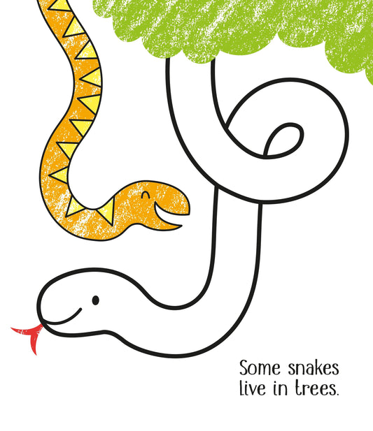 Usborne First Colouring Zoo Animals