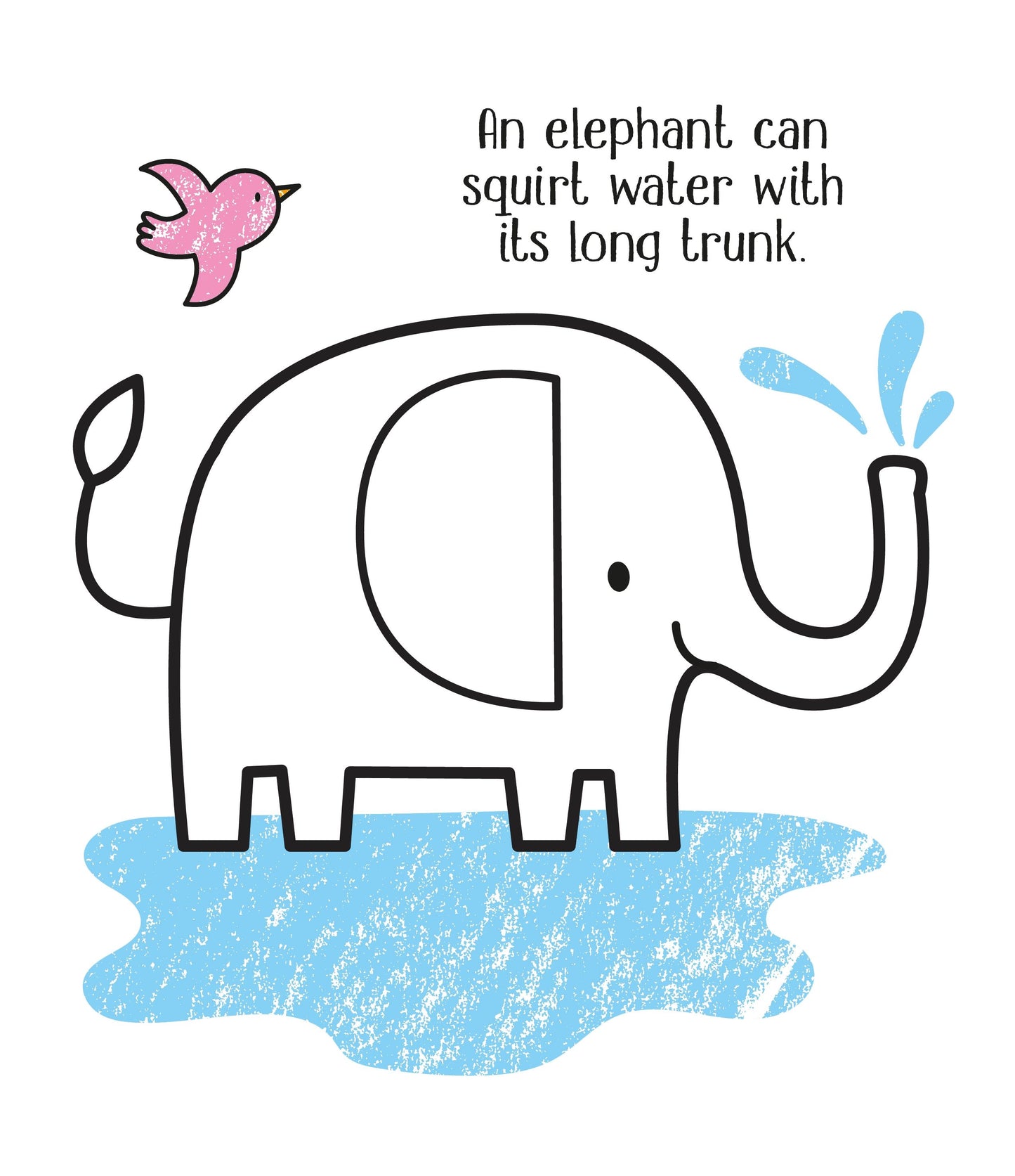 Usborne First Colouring Zoo Animals