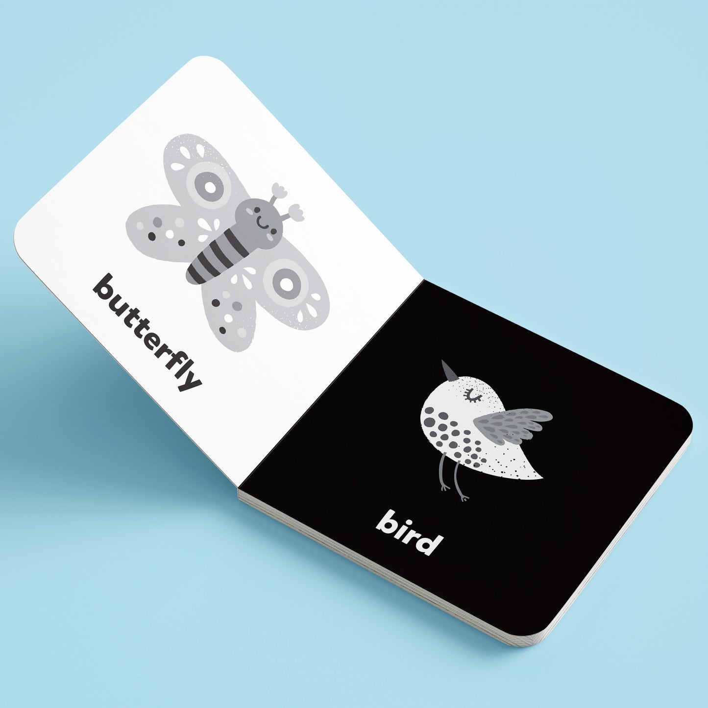 Nature: A High-Contrast Board Book