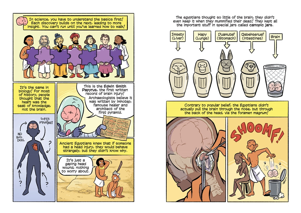 Science Comics The Brain: The Ultimate Thinking Machine